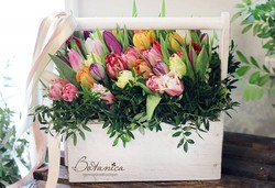 Ящик с тюльпанами 