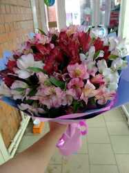 Формула таинственности 