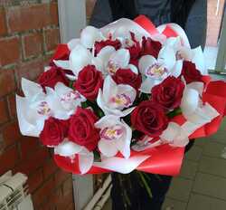 Нежность орхидей 