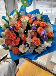 Звёздная колыбель 